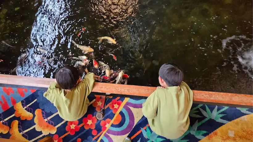 鯉に餌をあげる子供たち