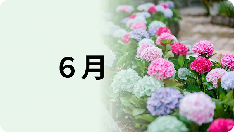 権利月から選ぶ株主優待まとめ
