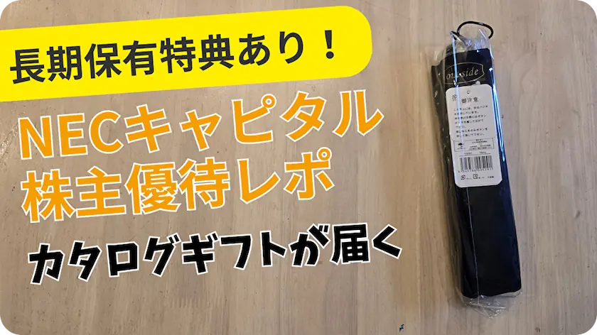 8793NECキャピタルソリューション株主優待レビュー