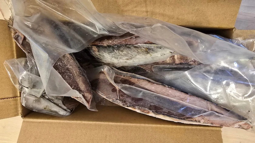 KDDI株主優待でもらったPontaポイントでふるさと納税してもらった「訳あり品 藁焼きかつおタタキ 1.9kg」