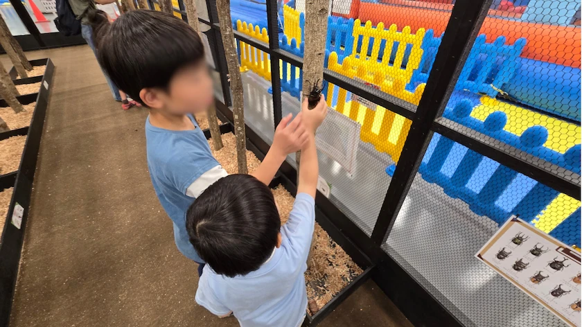 カブト・クワガタ ふれあいの森 in 仙台 2026