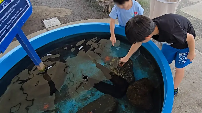おたる水族館の様子(海獣公園)