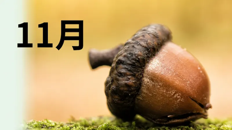 11月権利月優待まとめ
