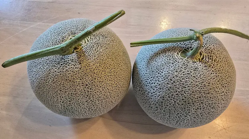 北海道産赤肉メロン約1.3kg×2玉