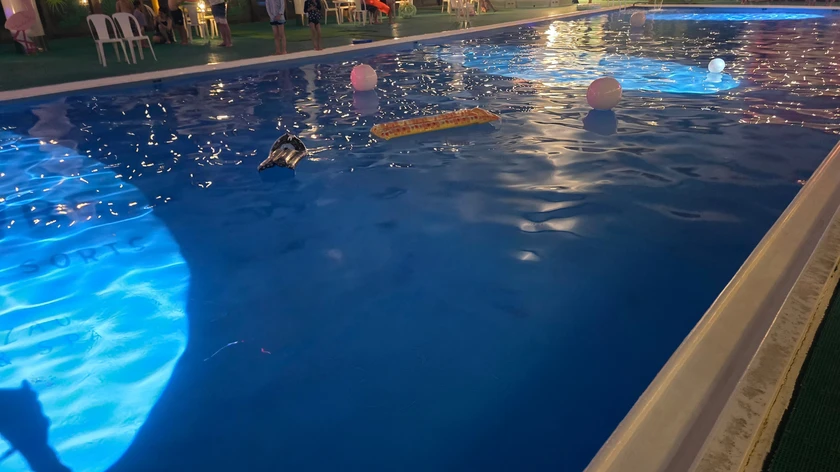 休憩時間中のナイトプールの雰囲気