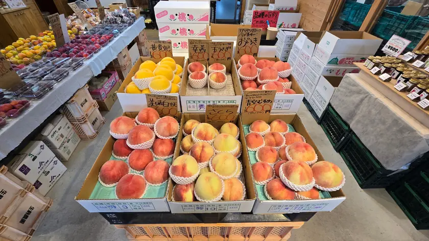 生駒農場のももコーナー