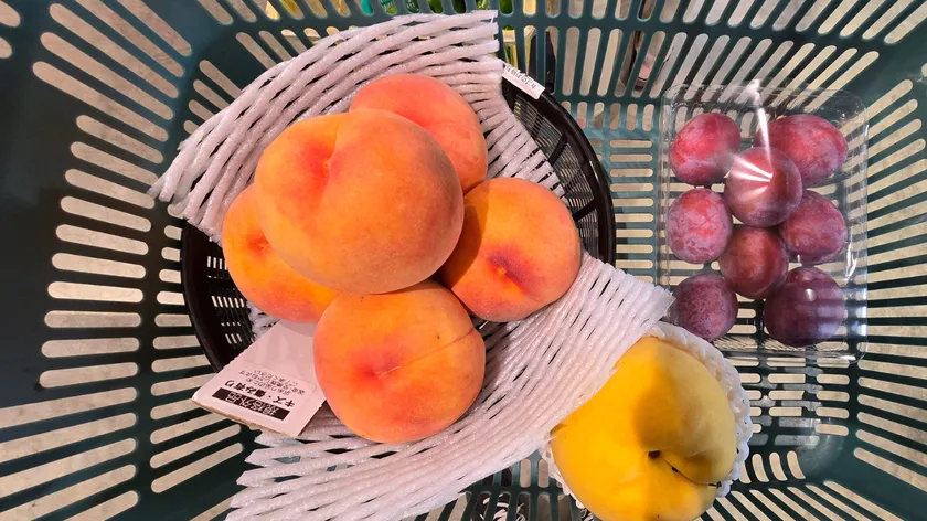 生駒農場での購入品
