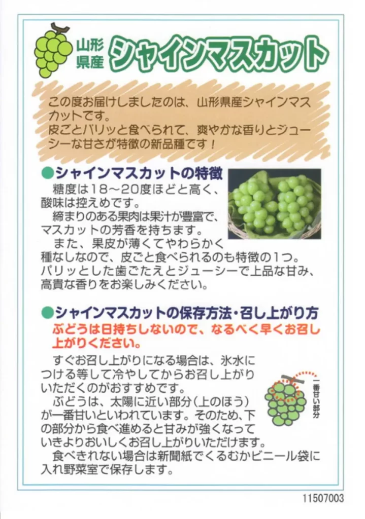プレミアムウォーターHD(2588)から届いた優待品に同封されていたシャインマスカットの特徴と食べ方